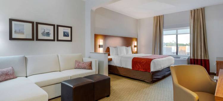 拉波特舒适套房 - 贝敦(Comfort Suites la Porte - Baytown)图片