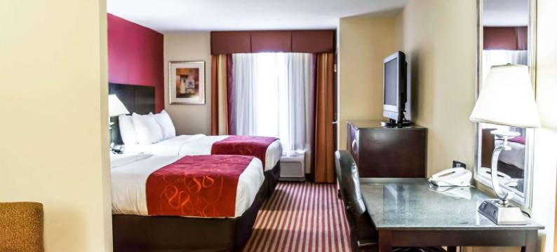 舒适套房酒店-棕榈湾墨尔本(Comfort Suites Palm Bay - Melbourne)图片