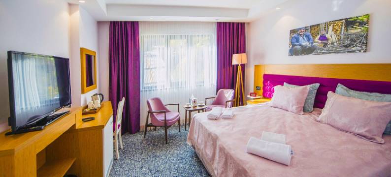 乌尊格尔金色酒店(Golden Inn Hotel Uzungöl)图片