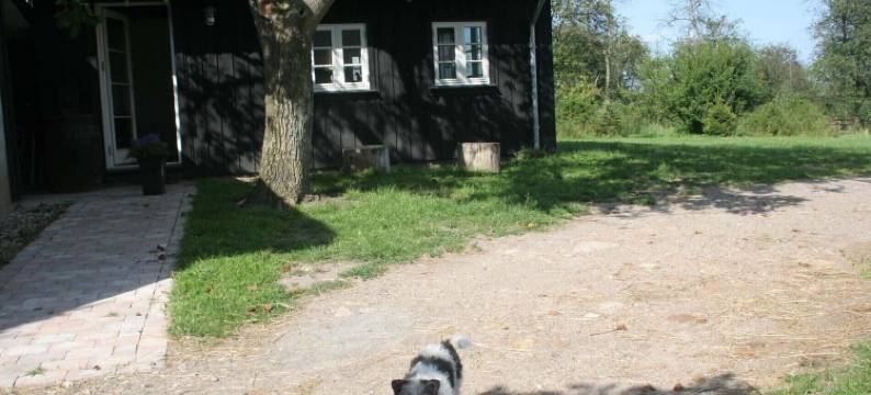 Teglgaarden床和早餐(Teglgaarden Bed and Breakfast)图片