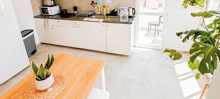 西斯内巢旅舍(Cisne Hostal by Nest)图片