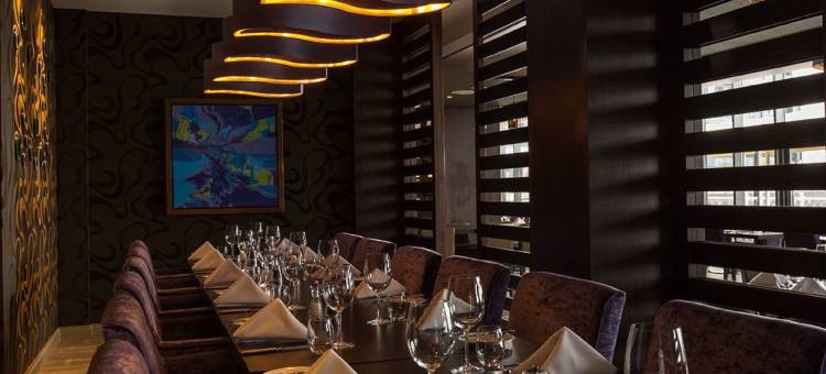 丽笙蓝标海滨泽西酒店(Radisson Blu Waterfront Hotel, Jersey)图片