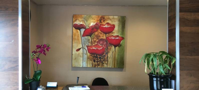 德尔阿莫旅馆(Del Amo Inn)图片