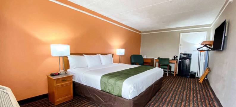 凯艺酒店(Quality Inn Harlingen)图片