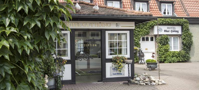 阿克岑古特霍因酒店(Akzent Hotel Gut Höing)图片