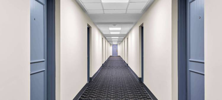 温莎贝斯特韦斯特 SureStay Plus 酒店(SureStay Plus by Best Western Windsor)图片