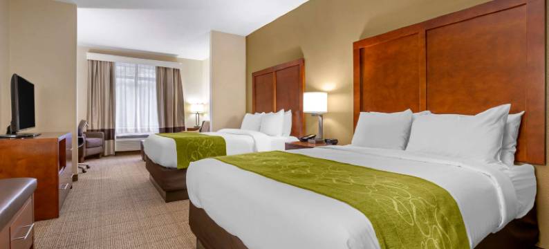 布恩大学区舒适套房酒店(Comfort Suites Boone - University Area)图片