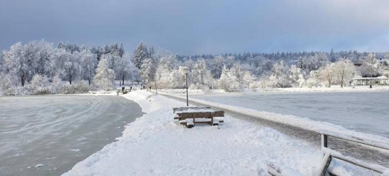 韦尼格罗德的平房(Bungalow in Wernigerode)图片