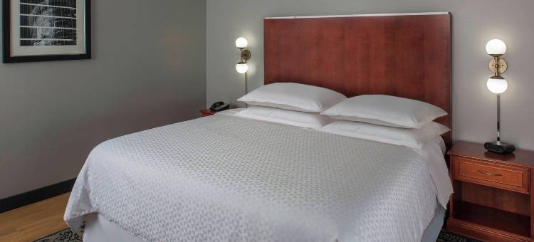 休斯顿霍比机场福朋喜来登酒店(Four Points by Sheraton Houston Hobby Airport)图片