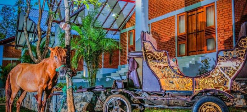 维维拉酒店(Hotel Viverra)图片