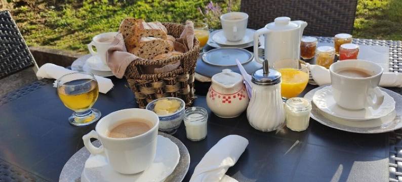 克里斯蒂娜·斯库夫莱尔(Christine Scuflaire)图片