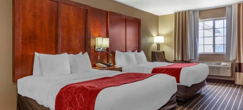 舒适套房酒店-德拉文日内瓦湖区(Comfort Suites Delavan - Lake Geneva Area)图片