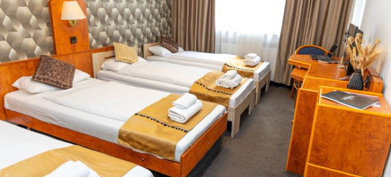 罗西娅酒店(Hotel Rossija)图片