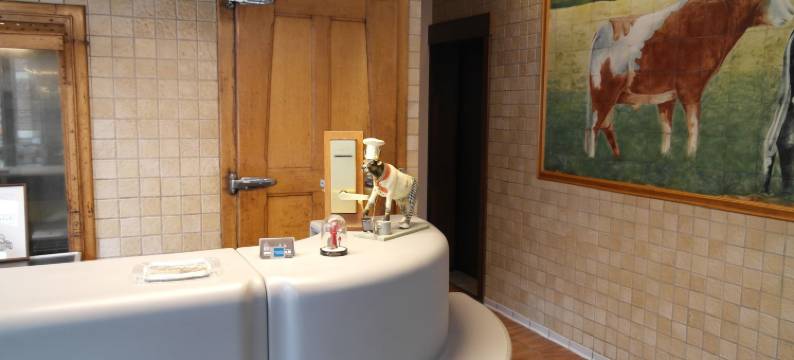 德邦泰酒店(De Bonte Os Hotel & Tower)图片