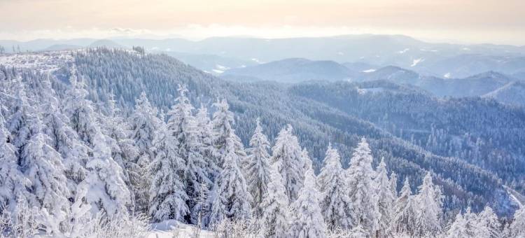 翁特尔基尔纳哈皮玛格度假村(Hapimag Ferienwohnungen Unterkirnach)图片