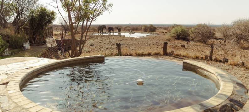 布什大厦(Last Word Madikwe)图片