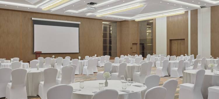 塔布科假日酒店(Holiday Inn Tabuk)图片