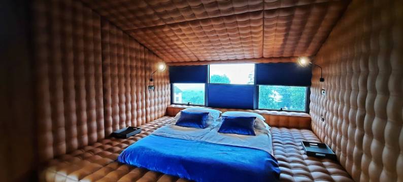 罗萨尼奇葡萄酒设计酒店(Winery & Design hotel ROXANICH)图片