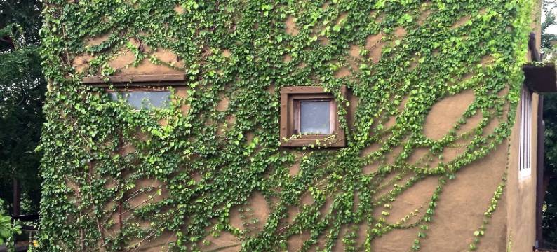 Pranberry地球旅馆(Pranberry Earth)图片