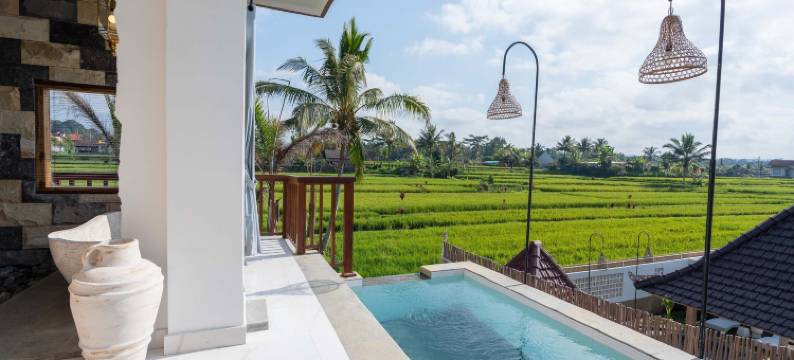 巴龙巴厘度假村乌布(Barong Bali Resort Ubud)图片