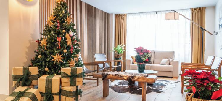 维耶拉酒店(Hotel Viella)图片