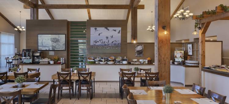 诺菲格嫩度假村酒店(Nofey Gonen Holiday Village)图片