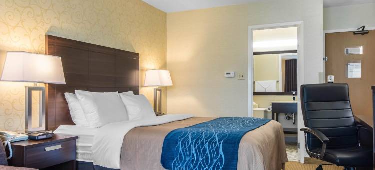 舒适酒店(Comfort Inn)图片