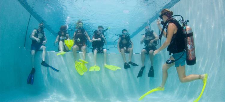 康帕斯波因特潜水度假酒店(Compass Point Dive Resort)图片