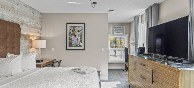 Lamphouse 基地营(Lamphouse by Basecamp)图片