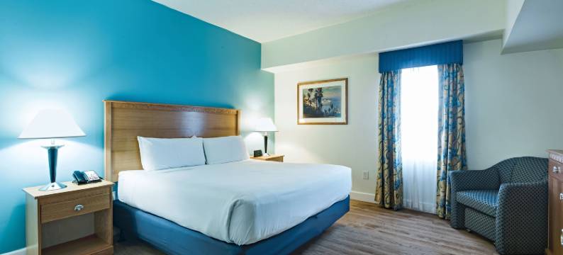 瓦卡提亚维吉尼亚海滩中庭度假村(The Atrium Resort, Virginia Beach by Vacatia)图片