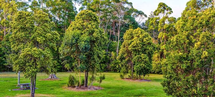 CBD汽车旅馆(CBD Motor Inn)图片