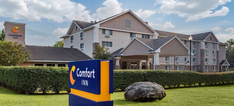 舒适酒店(Comfort Inn)图片