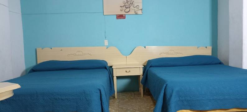 维耶纳酒店(Hotel Viena)图片