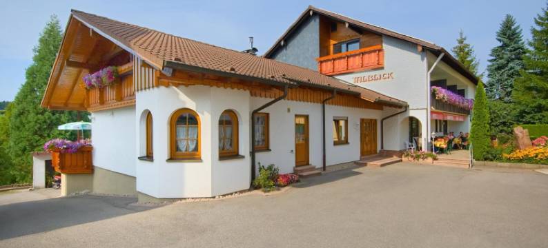 塔布里克康体酒店(Wellness-Hotel Talblick)图片