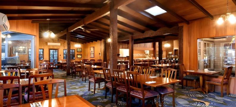 欧雷伊里雨林度假村(O'Reilly's Rainforest Retreat)图片