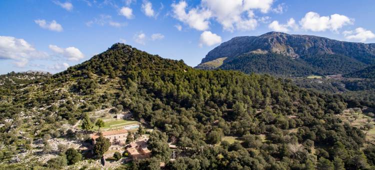 松阿尔兹内斯农家乐(Agroturismo Son Alzines)图片