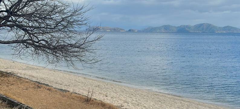 湖畔旅馆(Pension Lakeside)图片