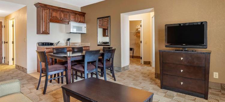 华纳罗宾斯-罗宾斯空军基地地区舒适酒店(Comfort Inn Warner Robins - Robins Air Force Base Area)图片