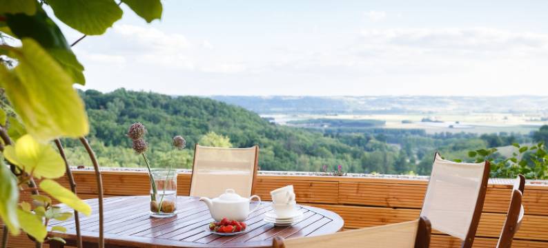 勒泰拉瑟德贝索住宿加早餐旅馆(Les Terrasses de Bessou)图片