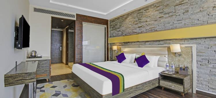 Treebo 高级阿里斯塔(Treebo Premium Arista)图片