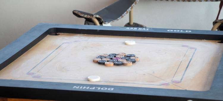 塔多巴虎爪(The Tiger Claws Tadoba)图片