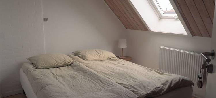 诺亚方舟民宿(Noah's Ark)图片