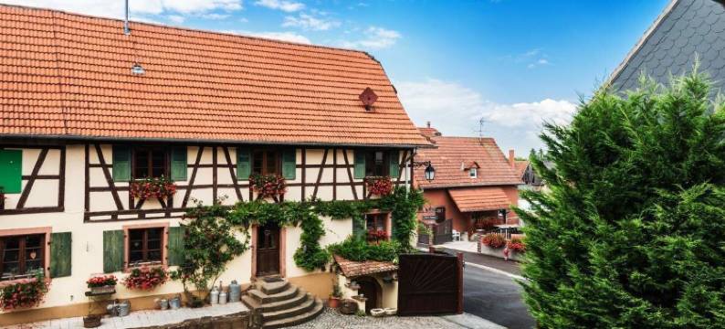 索菲农场酒店(La Ferme de Sophie)图片