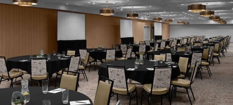 凤凰城比特摩尔希尔顿安泊酒店(Embassy Suites by Hilton Phoenix Biltmore)图片