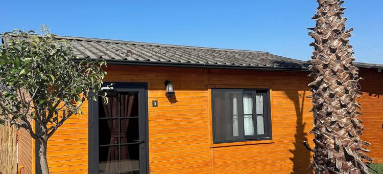 安塔基亚的一家酒店(Some Hotel Antakya)图片