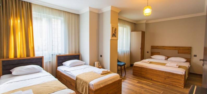 巴统记忆酒店(Memory Hotel Batumi)图片