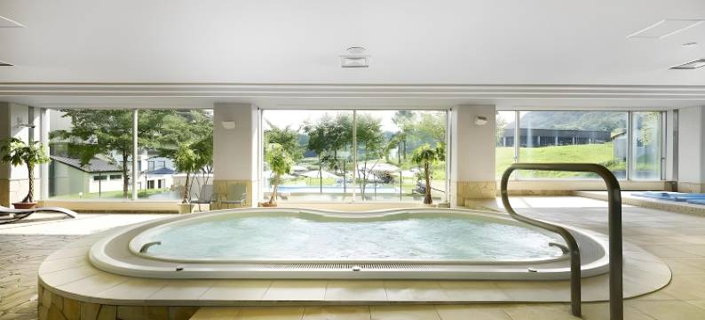 白马高山酒店(Hakuba Alps Hotel)图片