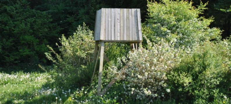 克本霍维德斯科夫民宿(Koebenhovedskov Bed & Breakfast)图片