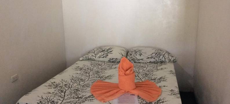 3 月阳台托尔图格罗小屋酒店(Cabinas Balcon del Mar Tortuguero)图片