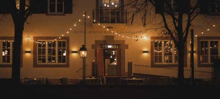 兰德斯霍夫酒店(Landgasthof Riehen Hotel and Restaurant, Basel)图片